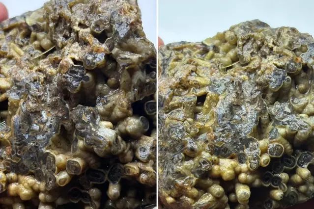 Kütahya'da Bulunan İlginç Taş 50 Bin TL'ye Satışa Çıkarıldı