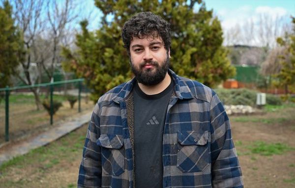 Ankara'da Sahipsiz Köpeklere Sosyal Yaşama Uyum Eğitimi Veriliyor