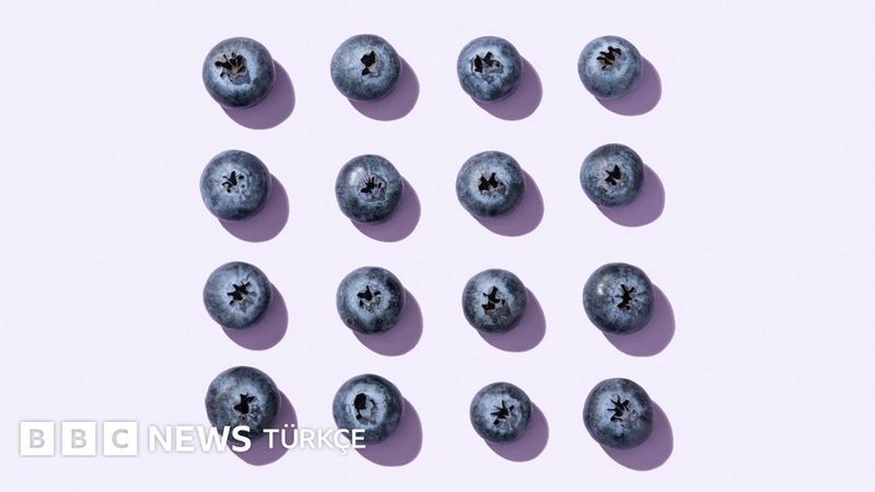 Yağ Yakıcı Besinler Hakkındaki Efsaneler ve Bilimsel Gerçekler