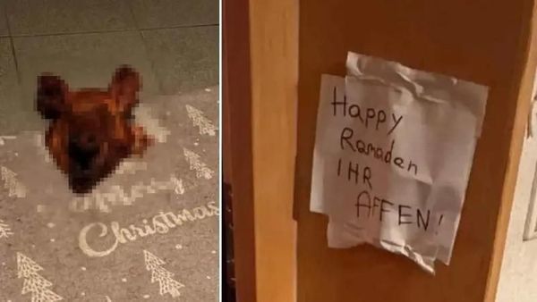 Avusturya’da Türk Ailesinin Evine İslamofobik Saldırı: Domuz Kafası ve Hakaretli Not Bırakıldı