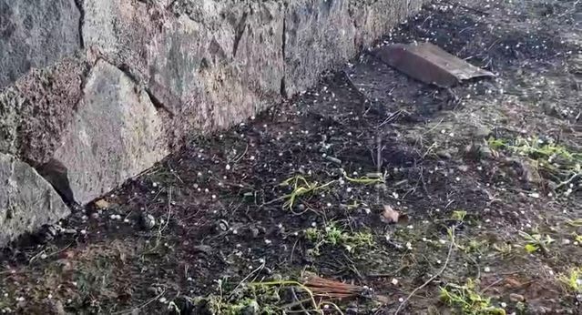 Gaziantep Yavuzeli'nde Nohut Büyüklüğünde Dolu Ekinlere Zarar Verdi