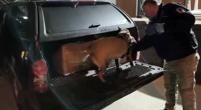 Samsun'da Narkotik Operasyonunda 4 Kişi Gözaltına Alındı