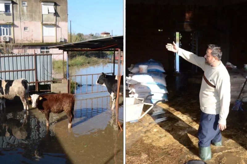 Antalya'da Sağanak Sonrası Taşkınlar ve Hayvan Kurtarma Operasyonları Gerçekleşti