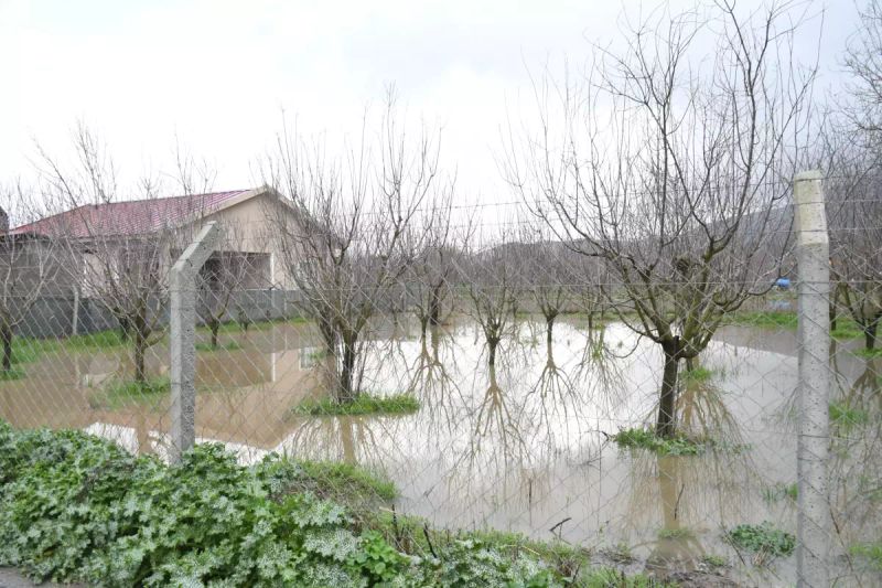 Kuşadası'nda Sağanak Sonrası Bahçeler ve Tarım Alanları Sular Altında Kaldı