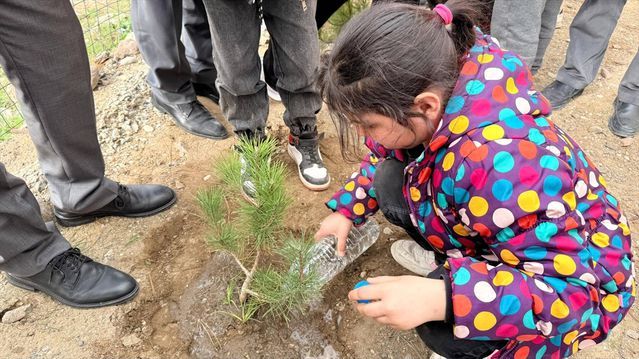 Göynücek'te Orman Haftası ve Otizm Farkındalığı İçin Fidan Dikildi