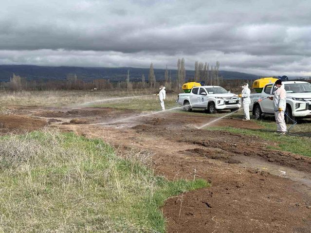 Çorum Belediyesi Yaz Öncesi Sivrisinek ve Karasineğe Karşı Yoğun Mücadele Başlattı