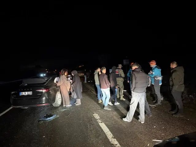 Bingöl'de Ata Çarpan Otomobilde 4 Kişi Yaralandı