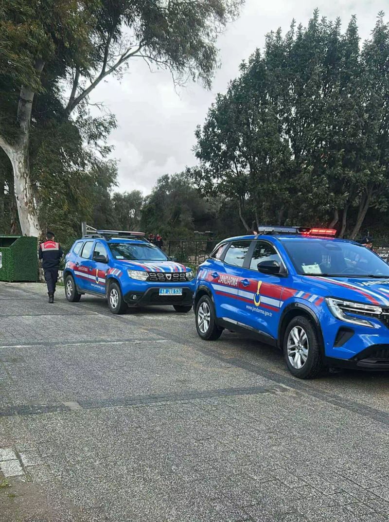 Bodrum'da İki Sokak Köpeğinin Öldürülmesi Olayında Şüpheli Tutuklandı