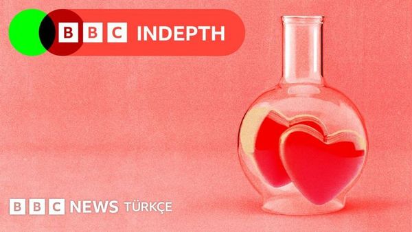 Sevgililer Günü'nde Ruh İkizi Kavramı ve Bilimsel Gerçekler