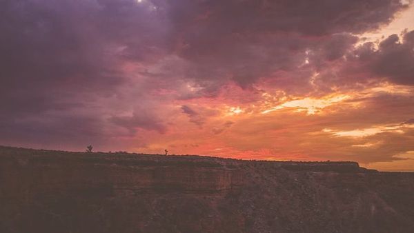 Kuraklık, Toprak Bakterilerinde Antibiyotik Direncini Artırıyor ve Hastanelere Yayılıyor