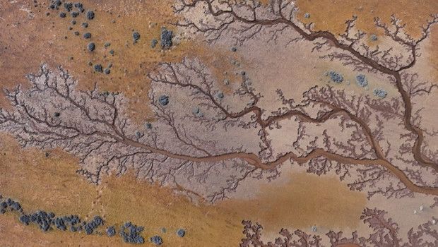 Tuzla Palas Gölü’nde Yağışlarla Oluşan Doğal ‘Hayat Ağacı’ Manzarası Büyülüyor