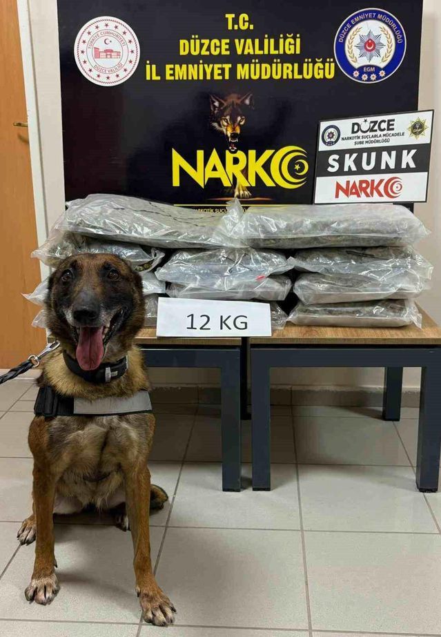 Düzce'de 12 Kilogram Uyuşturucu Taşıyan Kişi Yakalandı
