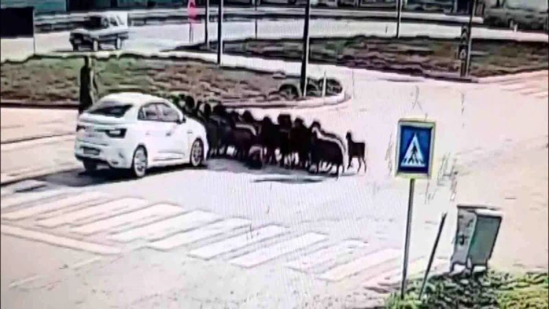 Hatay'da otomobil koyun sürüsüne çarptı: 5 küçükbaş hayvan telef oldu