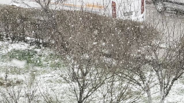 Sivas'ta Kar Yağışı Sabah Saatlerinde Etkisini Gösterdi