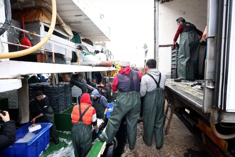 Karadenizli Balıkçılar Hamsi Avında Rotayı İğneada'ya Çevirdi