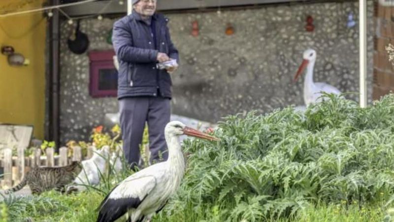 Adem Amca ve Leylek Yaren’in 15 Yıllık Sadakat Dolu Dostluğu