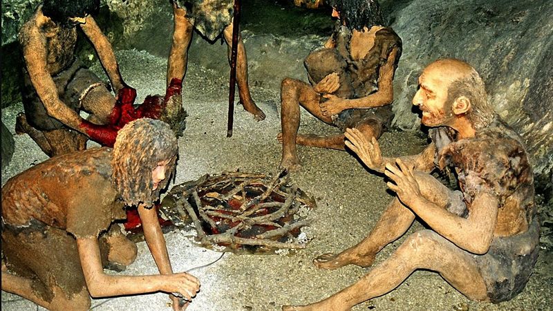 Son Neandertallerin Genetik Yapısında Büyük Değişim ve Nüfus Çöküşü Ortaya Çıktı