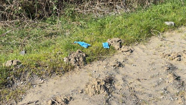 İstanbul'da Çinli İş İnsanının Bağlı Cesedi Tarlada Bulundu