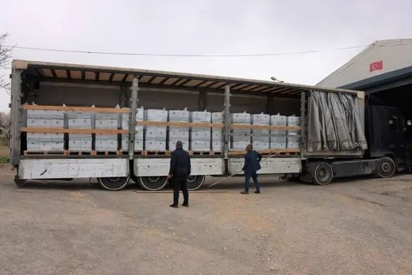 Akkuyu Nükleer Ramazan Bayramı'nda Gıda Yardımı Yapacak