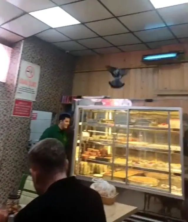 Eskişehir'de İftar Saatinde Lokantaya Giren Güvercin Ortalıkta Kargaşa Yarattı