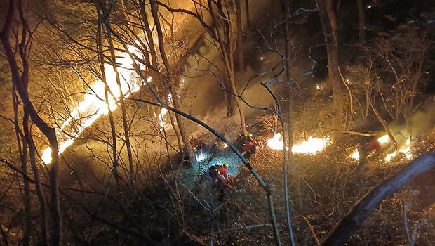 Güney Kore'de Orman Yangınları 3 Günde 190 Hektarı Kül Etti