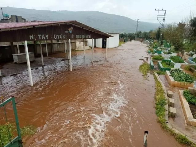 Reyhanlı'da Aşırı Yağışlar Sel Tehlikesi Yaratırken Çoban Kuzuları Kurtardı