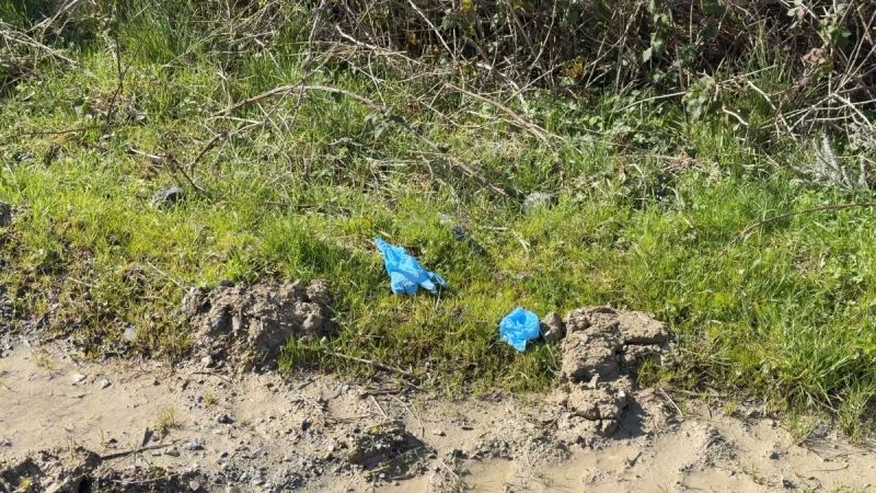 İstanbul'da Kayıp Çinli İş İnsanının Eller ve Ayakları Bağlı Cesedi Toprağa Gömülü Bulundu