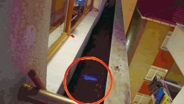 Kıskançlık Cinayetini Mavi Işık Teknolojisi Ortaya Çıkardı