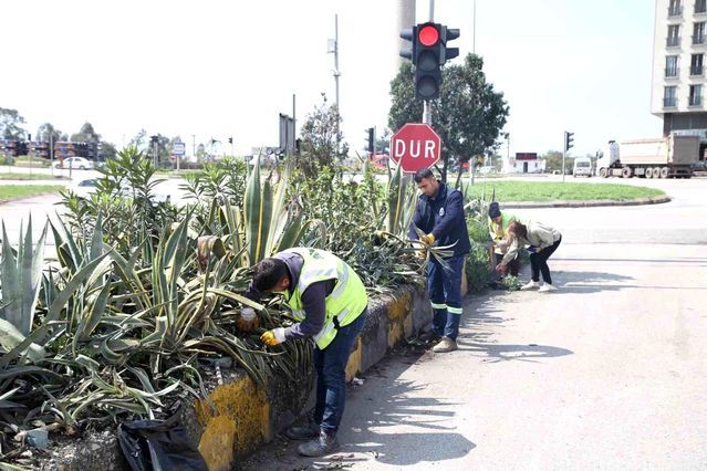 Hatay Büyükşehir Belediyesi Bitki Üretiminde Dışa Bağımlılığı Azaltmayı Hedefliyor