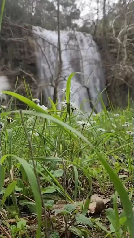 Aladağ’da Kuruyan Şelaleler Yağışlarla Yeniden Canlandı