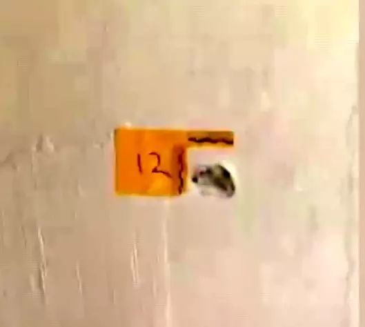 Adana'da Polis Kılığında Maskeli Silahlı Saldırı: Anne ve Oğlu Yaralandı