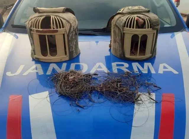 Kırşehir'de Kaçak Keklik Avına Karşı 2 Kişi Tutuklandı