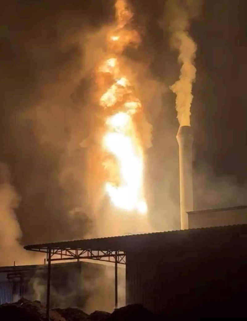 Akyazı'da Entegre Tesiste Yağ Kazanı Patlamasıyla Yangın Çıktı