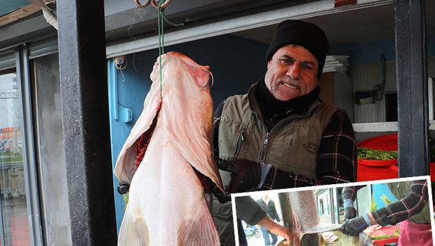 Diyarbakırlı Balıkçı Munzur Çayı'nda Dev Turna Avladı, Sosyal Medyada Paylaşınca Satışlar Patladı