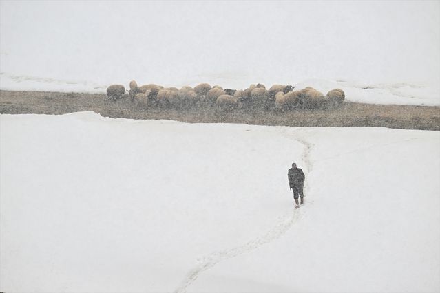 Van Çatak'ta Yüksek Kesimlerde Yoğun Kar Yağışı Etkili Oldu