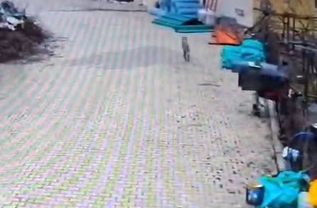 Adana Feke'de Aç Kalan Kurt Mahallede Görüntülendi