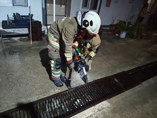 İskenderun'da Su Gider Kanalında Mahsur Kalan Kedi ve Yavru Kurtarıldı