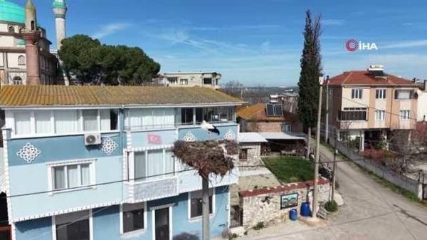 Leylek Köyü'nde Sevinç: Yaren'in Eşi Erken Geldi