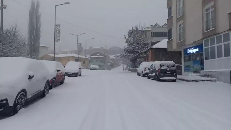 Posof'ta 2 bin 550 rakımlı Ilgar Geçidi ulaşım için kapandı
