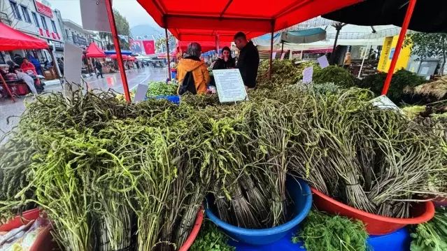 Bodrum'da 7. Acı Ot Festivali Yoğun Katılımla Başladı