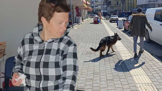 Antalya'da Köpek Kavgasında Yaralanan Ukraynalı Kadın, Şikayetçi Olmadı