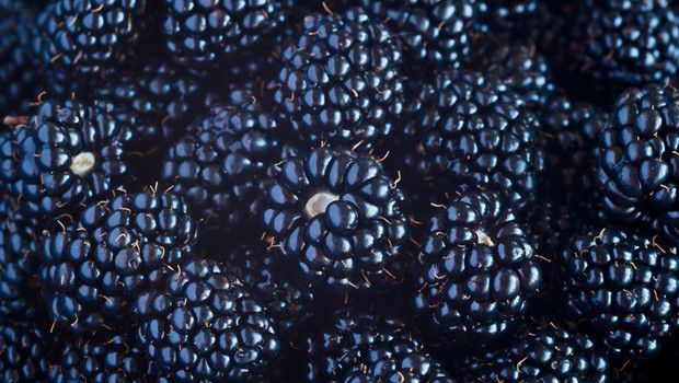 MIND Diyeti Beyin Yaşlanmasını 2 Yıldan Fazla Yavaşlatıyor