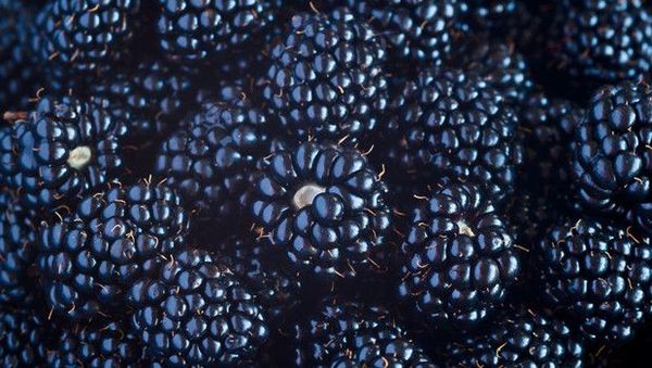 MIND Diyeti Beyin Yaşlanmasını 2 Yıldan Fazla Yavaşlatıyor