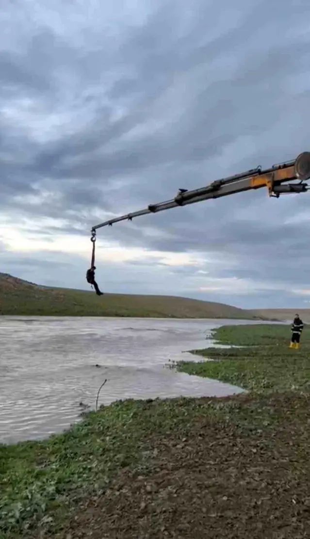 Ceylanpınar'da Derede Mahsur Kalan Traktör Sürücüsü Vinçle Kurtarıldı