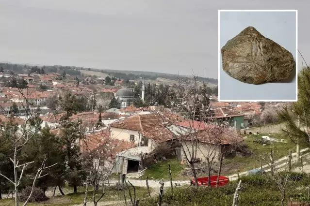 Baklan'da Milyonlarca Yıllık Deniz Yıldızı Fosili Keşfedildi