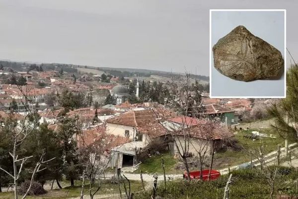 Baklan'da Milyonlarca Yıllık Deniz Yıldızı Fosili Keşfedildi