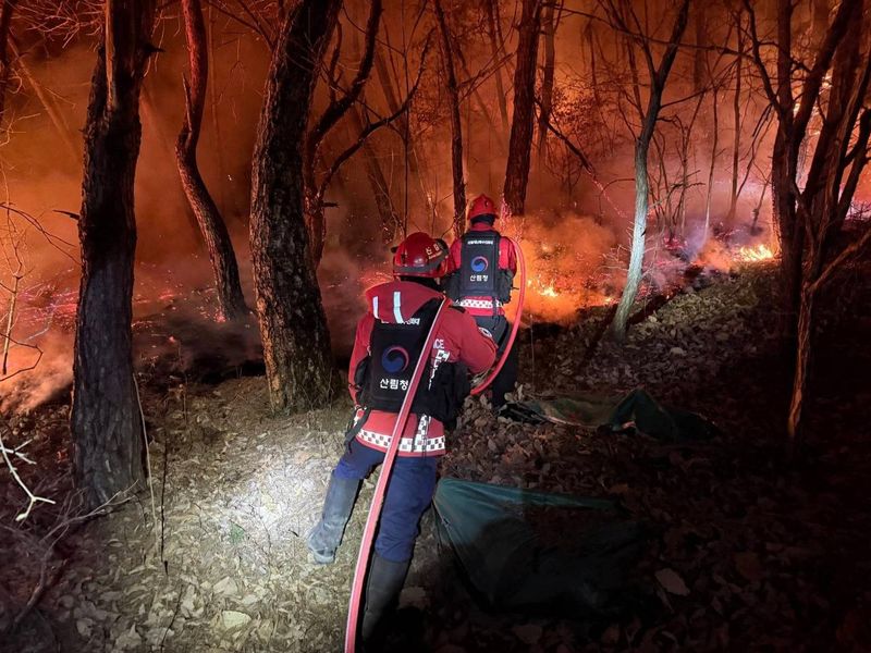 Güney Kore’de 200 Futbol Sahası Büyüklüğünde Orman Yangını Kül Oldu