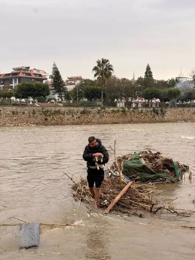 Alanya'da Yükselen Çayda Mahsur Kalan Kedi Kurtarıldı
