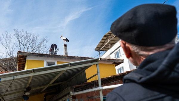 Bursa'nın Eskikarağaç Köyünde Yaren Leylek Eşi Nazlı ile Birlikte Geri Döndü