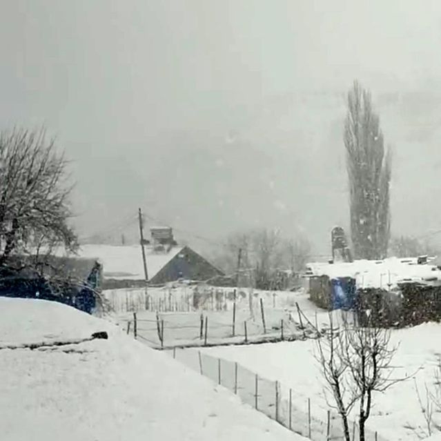 Siirt'te Nisan Ayında Aniden Başlayan Kar Yağışı Köyü Beyaza Bürüdü